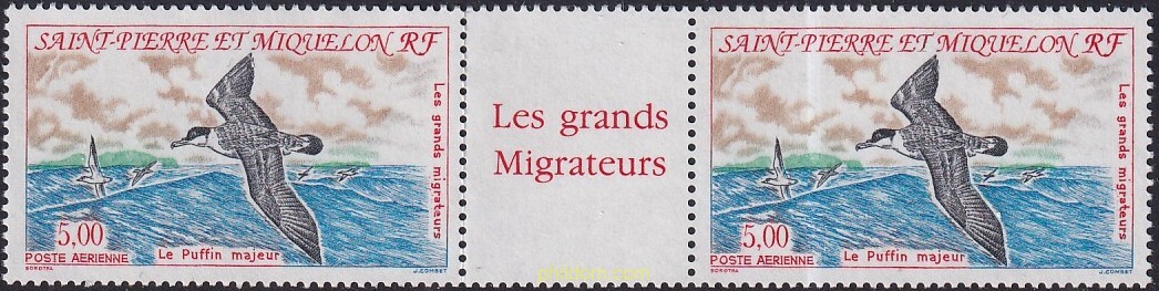 AVES MIGRATORIAS