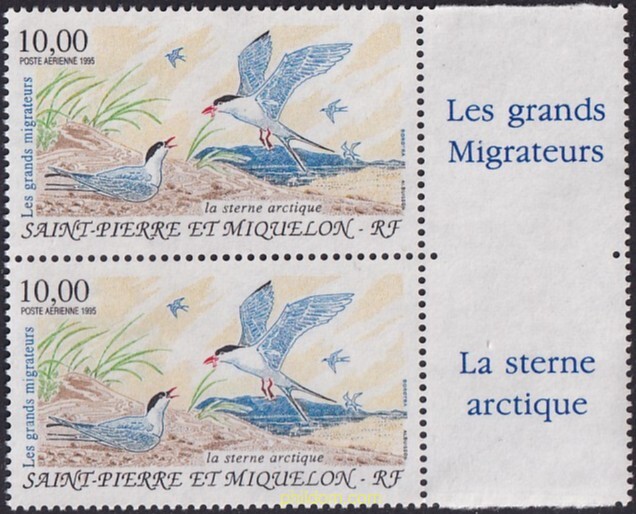AVES MIGRATORIAS