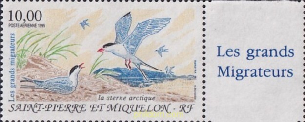 AVES MIGRATORIAS