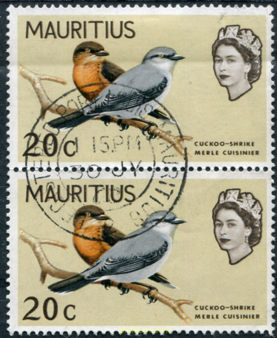 AVES