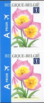 TULIPAN