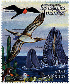 CONSERVACION DE LA FAUNA Y DE LA FLORA MEXICANA