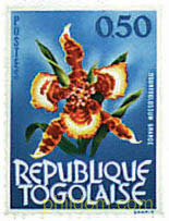 FAUNA Y FLORA