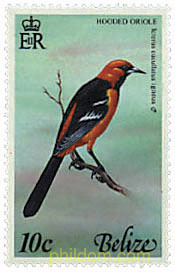 PAJAROS DE BELIZE