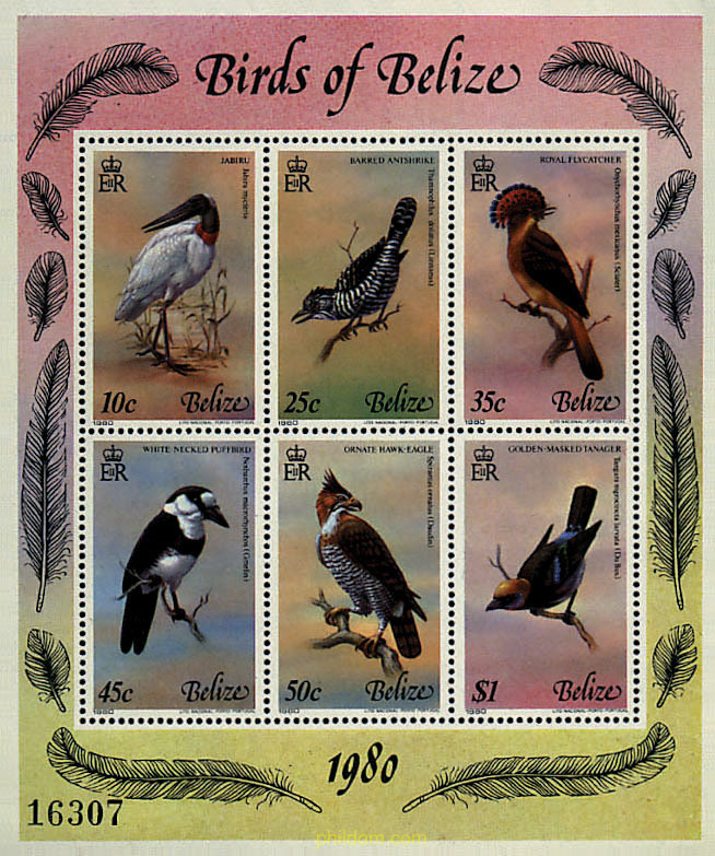 PAJAROS DE BELIZE