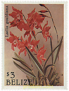 ORQUIDEAS