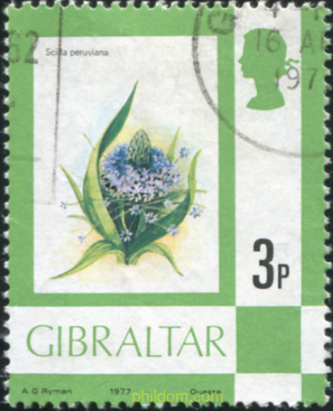 FAUNA Y FLORA