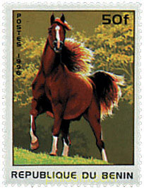 CABALLOS
