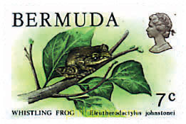FAUNA DE LAS BERMUDAS