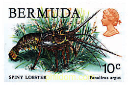 FAUNA DE LAS BERMUDAS