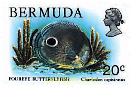 FAUNA DE LAS BERMUDAS