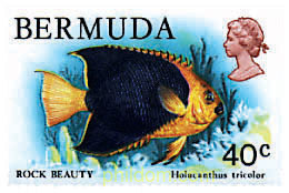 FAUNA DE LAS BERMUDAS