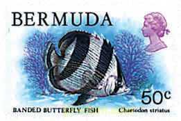 FAUNA DE LAS BERMUDAS