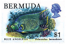 FAUNA DE LAS BERMUDAS