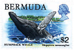 FAUNA DE LAS BERMUDAS