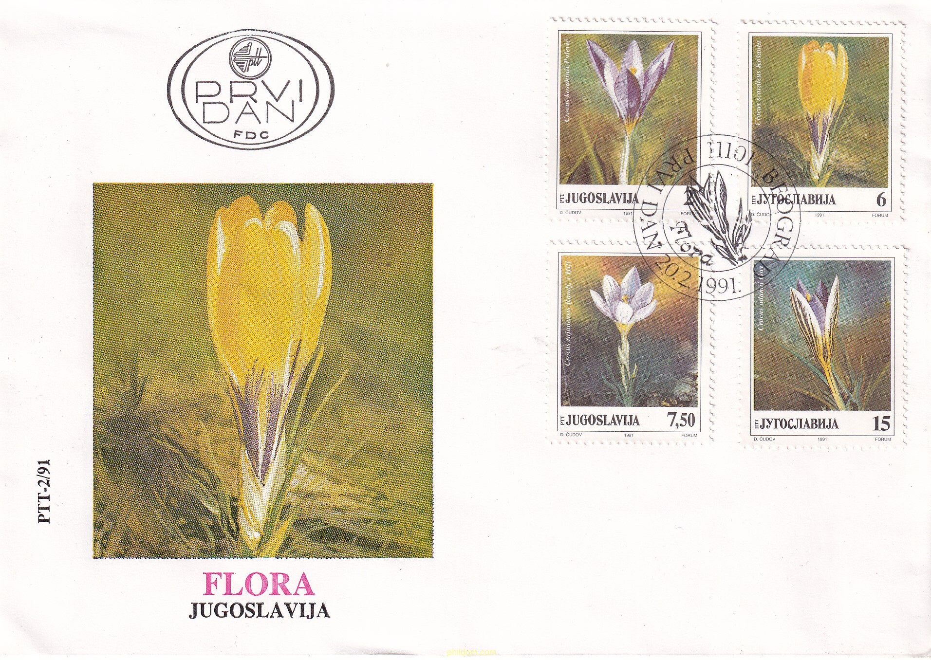 FLORES DE PRIMAVERA