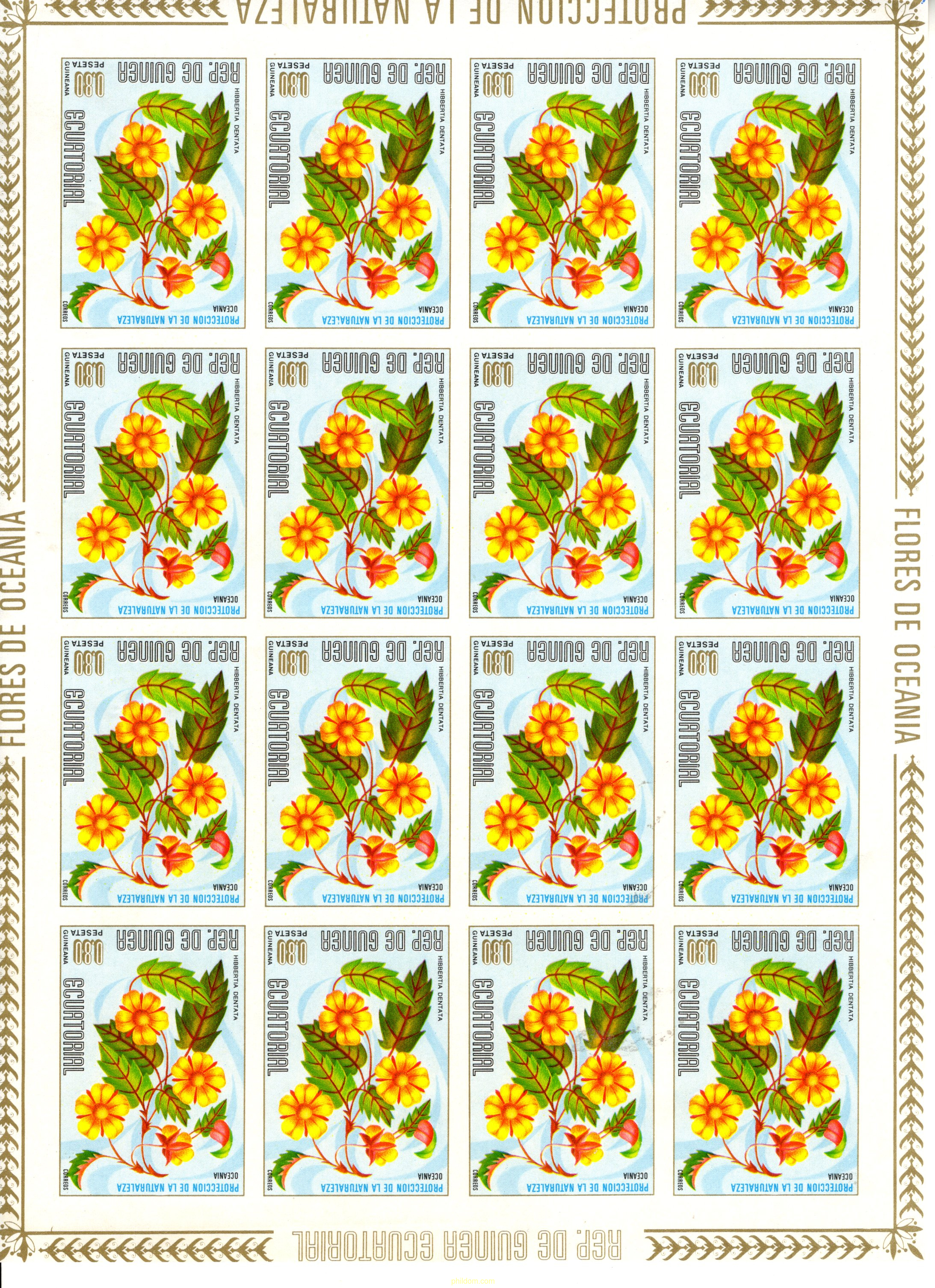 FLORES DE OCEANIA Y AMERICA DEL SUR