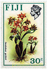 FLORES Y AVES