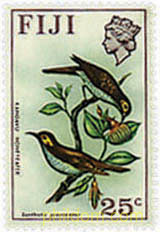 FLORES Y AVES