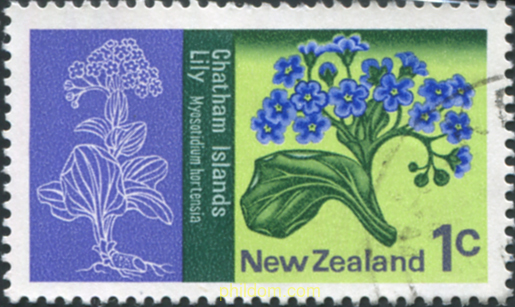 FAUNA Y FLORA DE CHATHAM