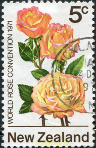 CONVENCION MUNDIAL DE ROSAS