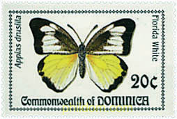 MARIPOSAS