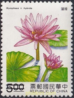PLANTAS ACUATICAS