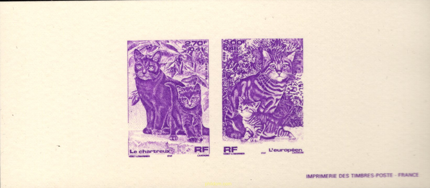 PERROS Y GATOS