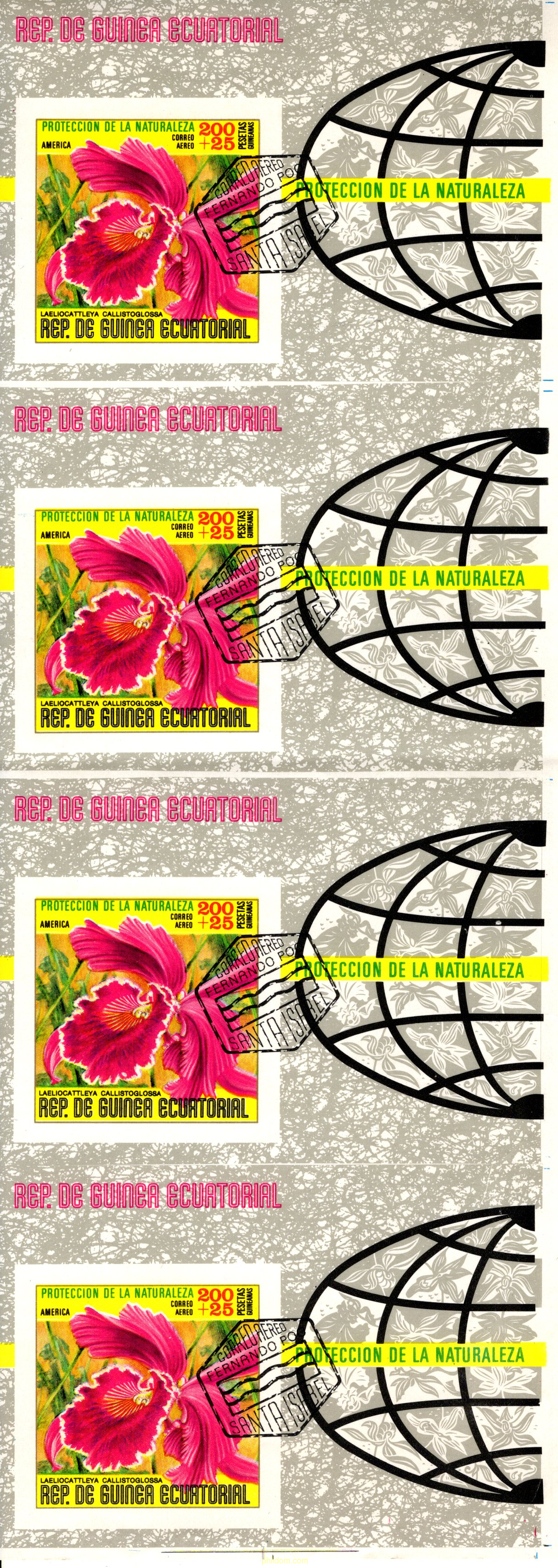 FLORES DE NORTE AMERICA