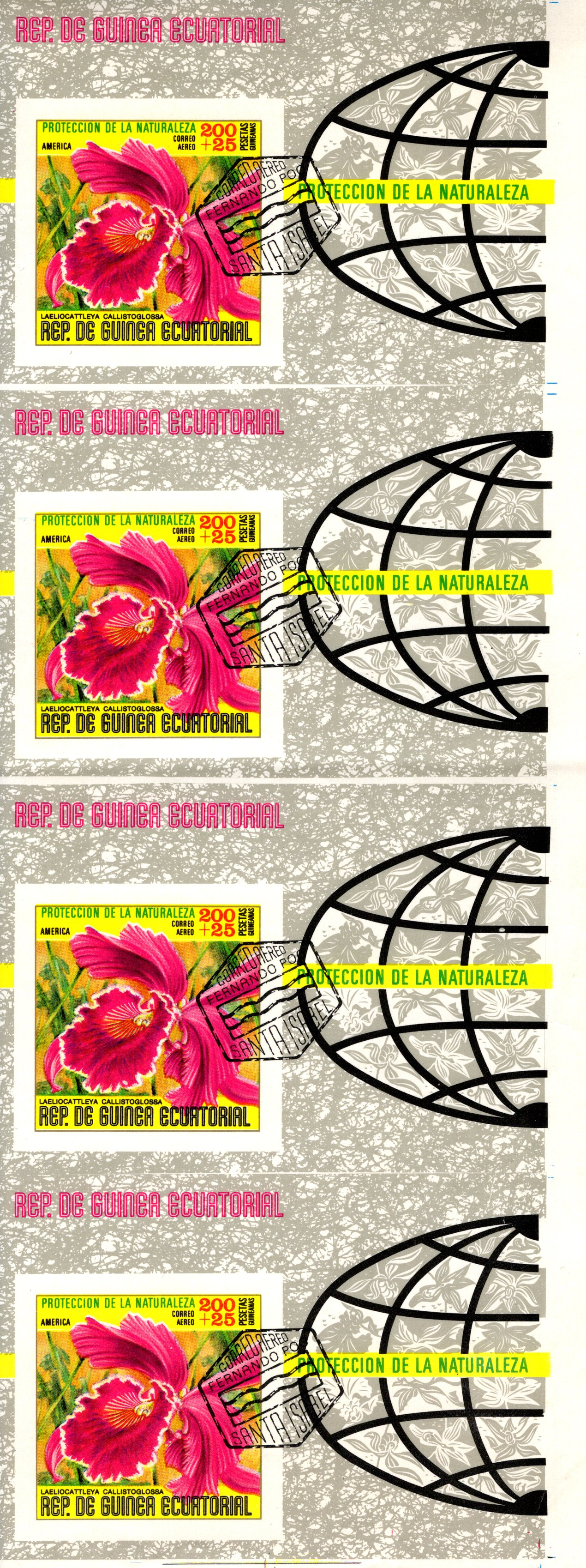 FLORES DE NORTE AMERICA