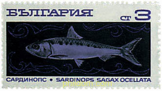 PESCA DE ALTURA