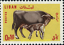 ANIMALES DE GRANJA