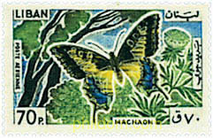 MARIPOSAS