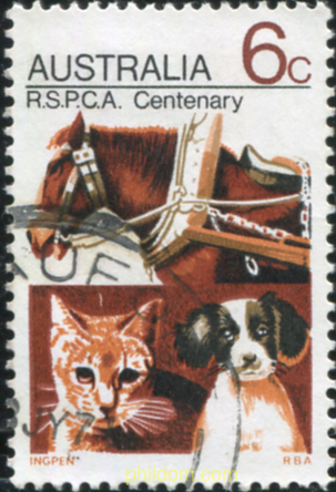 SOCIEDAD PROTECTORA DE ANIMALES