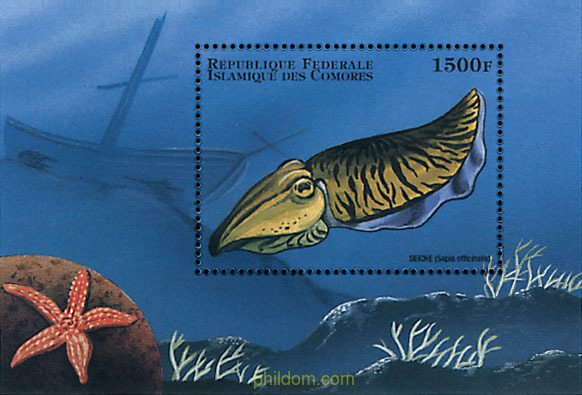 FAUNA MARINA DEL MUNDO