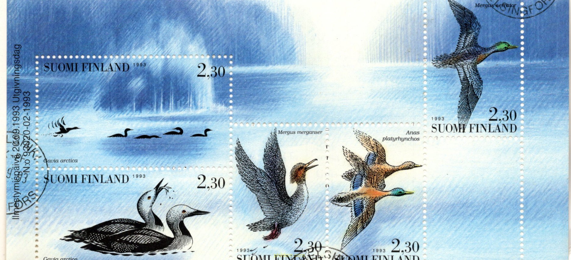 AVES ACUATICAS