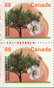 ARBOLES FRUTALES DE CANADA