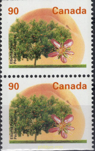ARBOLES FRUTALES DE CANADA