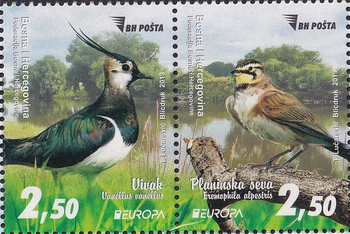 EUROPA CEPT 2019 - NATIONAL BIRD