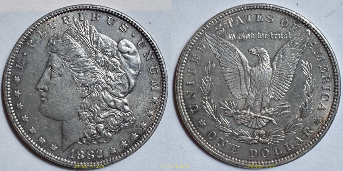 USA ONE DOLLAR MORGAN 1882