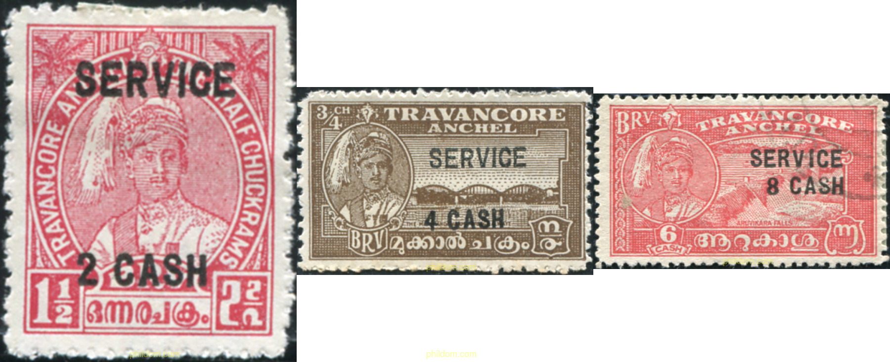 SERIE BASICA