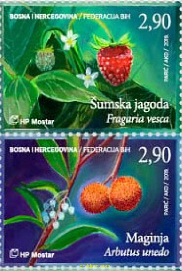 FLORA
