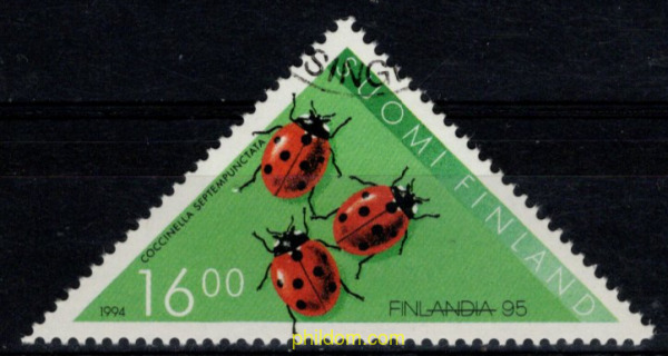 INSECTOS