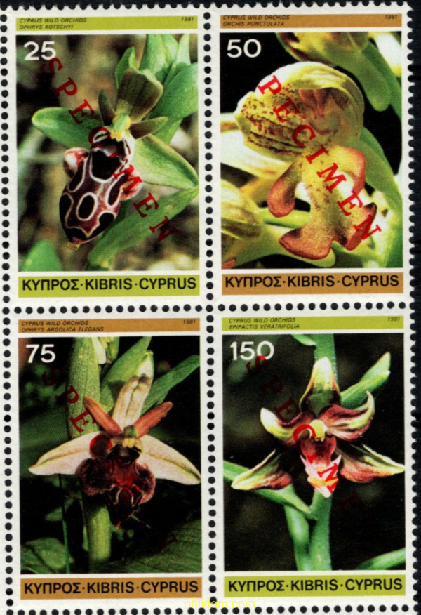 ORQUIDEAS SILVESTRES