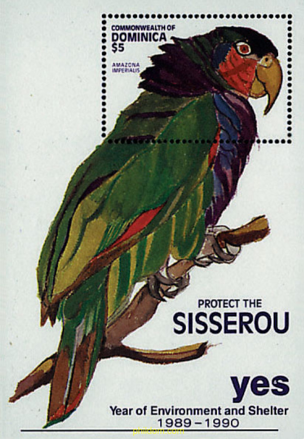 FAUNA PROTEGIDA