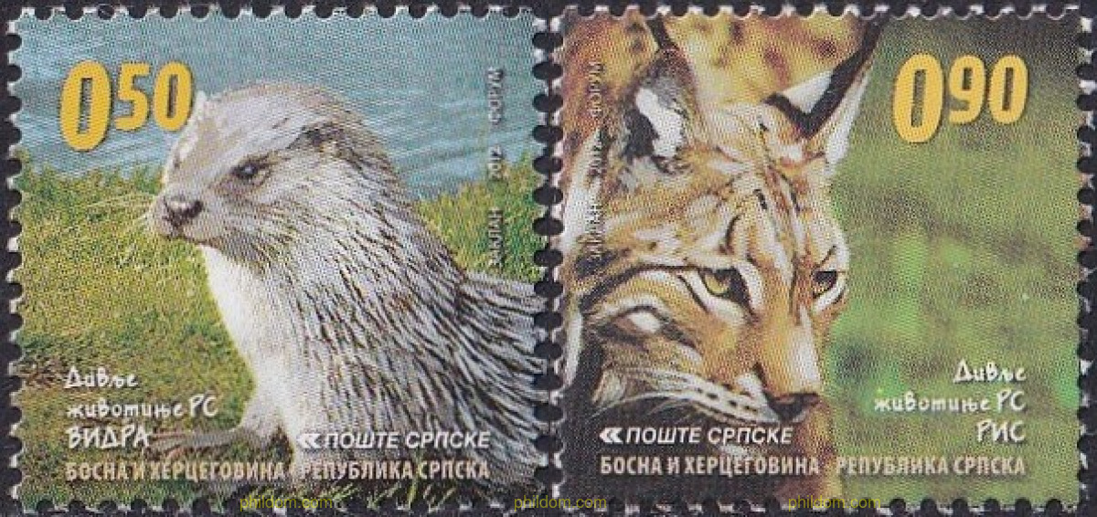 FAUNA. ANIMALES SALVAJES