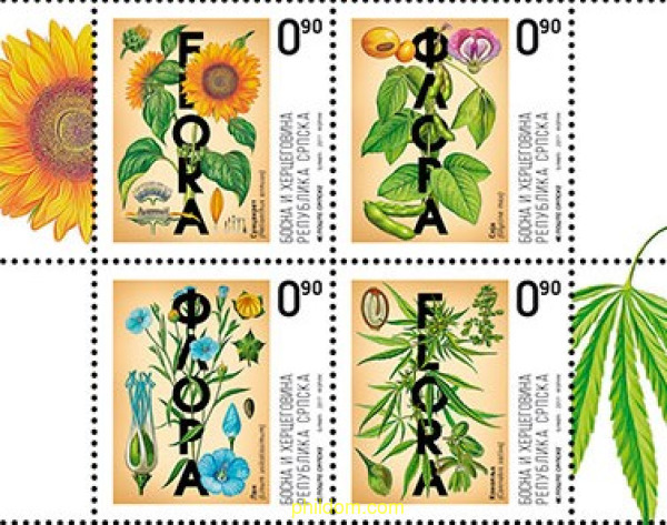 FLORA
