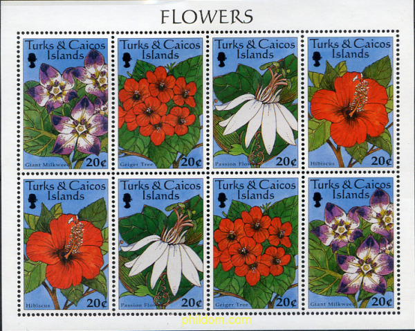 FLORES