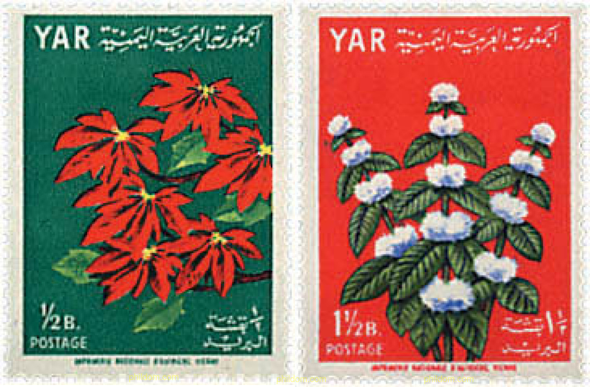 FLORES
