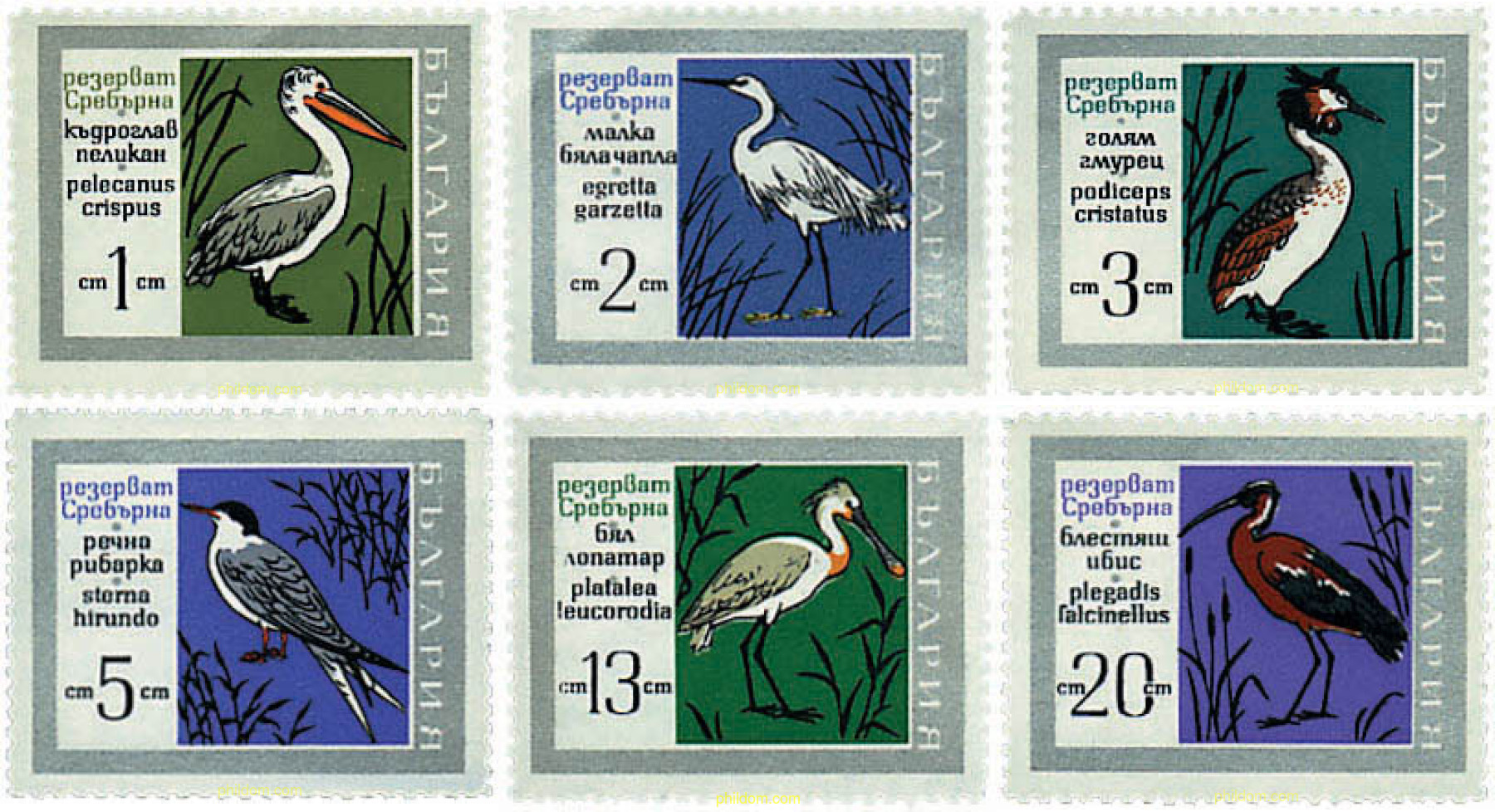PARQUE NACIONAL DE SREBARNA. AVES